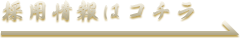 採用情報
