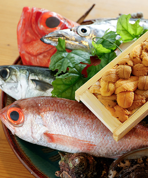 鮮魚・魚料理