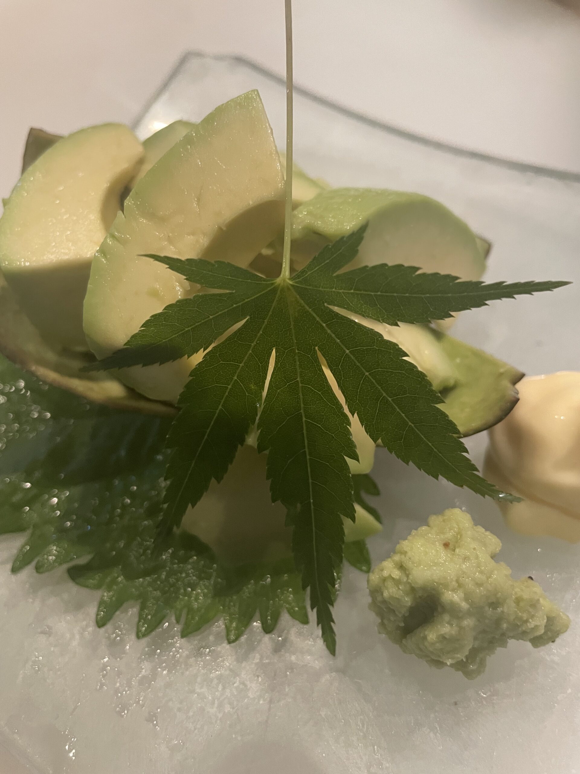 こんにちは😀　今日は、アボカド刺し