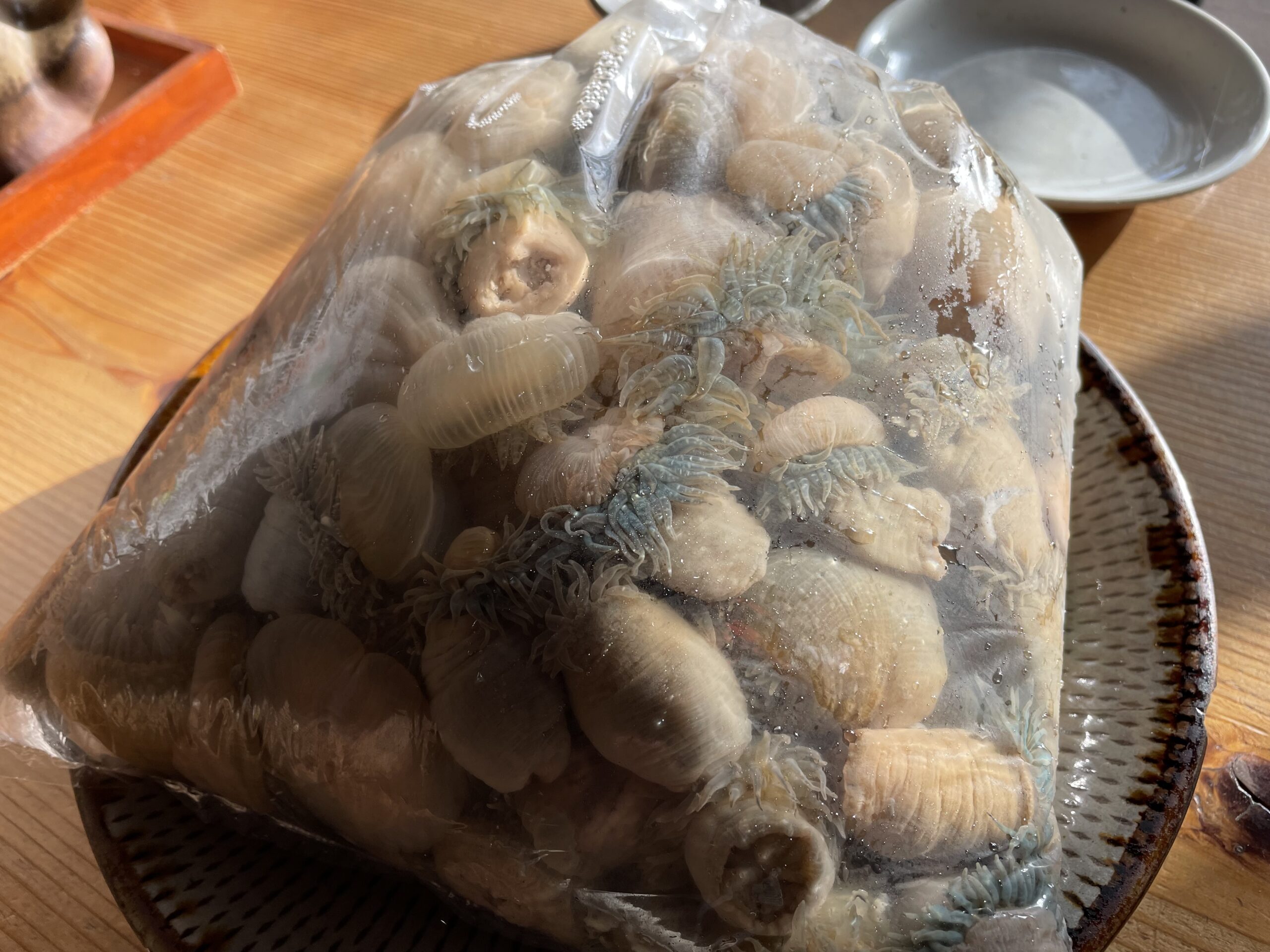 こんにちは☺️  今日もよろしくお願いします。